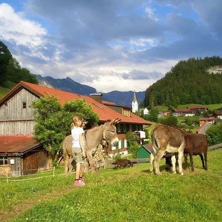 Haus Willi *